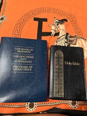 Lavish Orange and Black Patterned Tote or Scarf Accent